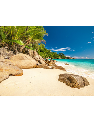 Tapeta do voliéry 02